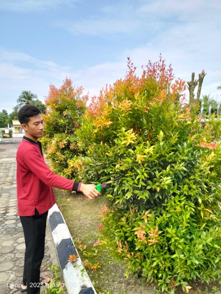 WhatsApp Image 2023-01-13 at 09.06.10.jpeg