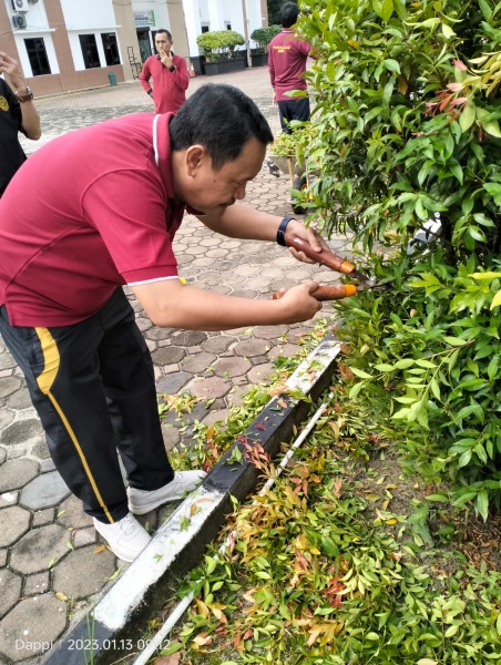 WhatsApp Image 2023-01-13 at 09.14.31.jpeg