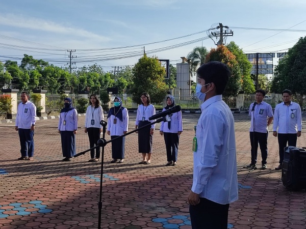 WhatsApp Image 2023-01-16 at 08.19.51.jpeg