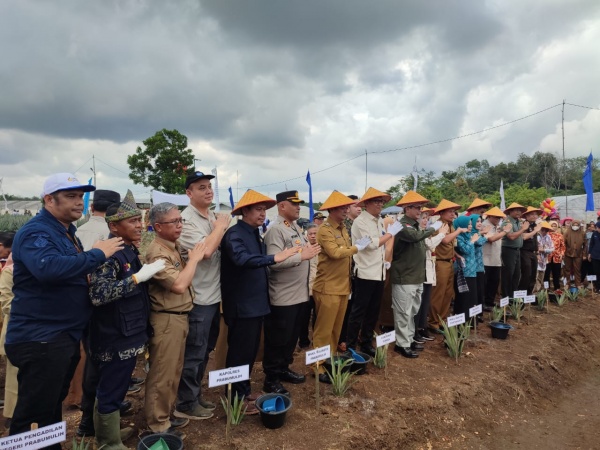 WhatsApp Image 2023-02-21 at 13.52.21.jpeg