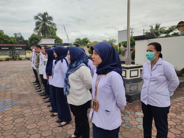 WhatsApp Image 2023-05-08 at 08.08.57.jpeg